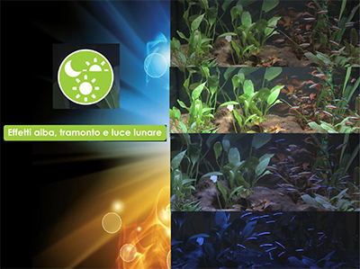 Askoll Acquario Pure LED XL HC High Cube White 76x36x57h cm 130Lt
