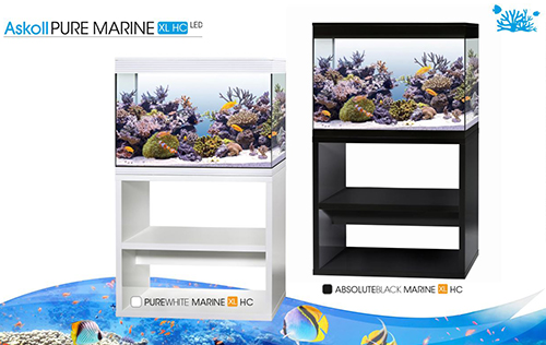 Askoll Acquario Pure Marine XL HC Bianco con Sale OMAGGIO 76x36x57h cm 130Lt