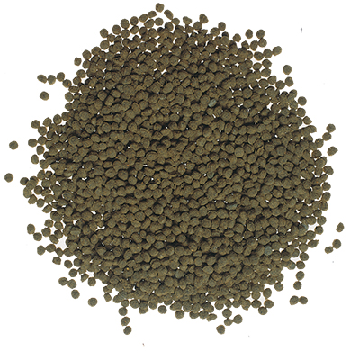 Tetra Goldfish Gold Colour 250ml 75gr