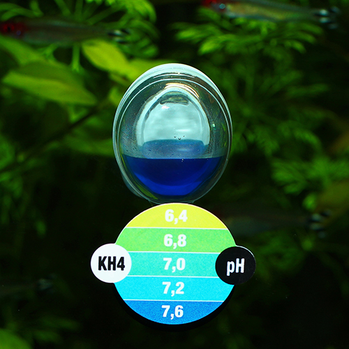 JBL Test CO2/Ph permanente
