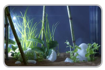 Askoll Stick Light Led Bianca Sommergibile 1.5W 26cm