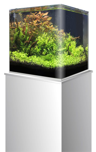 Amtra Nanotank 30 Acquario 30 Litri Vasca Coperchio e Tappetino 30x30x35h cm
