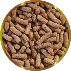 Shg Gammarus Stick per Tartarughe 45g