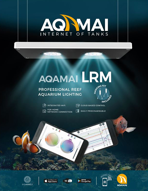 Aqamai LRM Plafoniera a Led Controller WI-FI 100W Bianca 36x16x2h cm