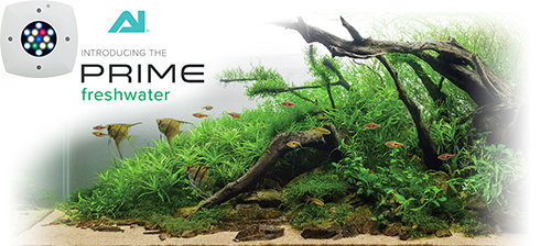 Aqua Illumination Prime 16HD New 2019 Plafoniera a Led 59W Nero per acqua dolce