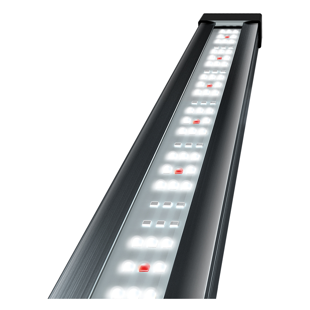 Tetra Tetronic LED ProLine 380 Lampada acquari Piantumati 12,5W 380mm-579mm
