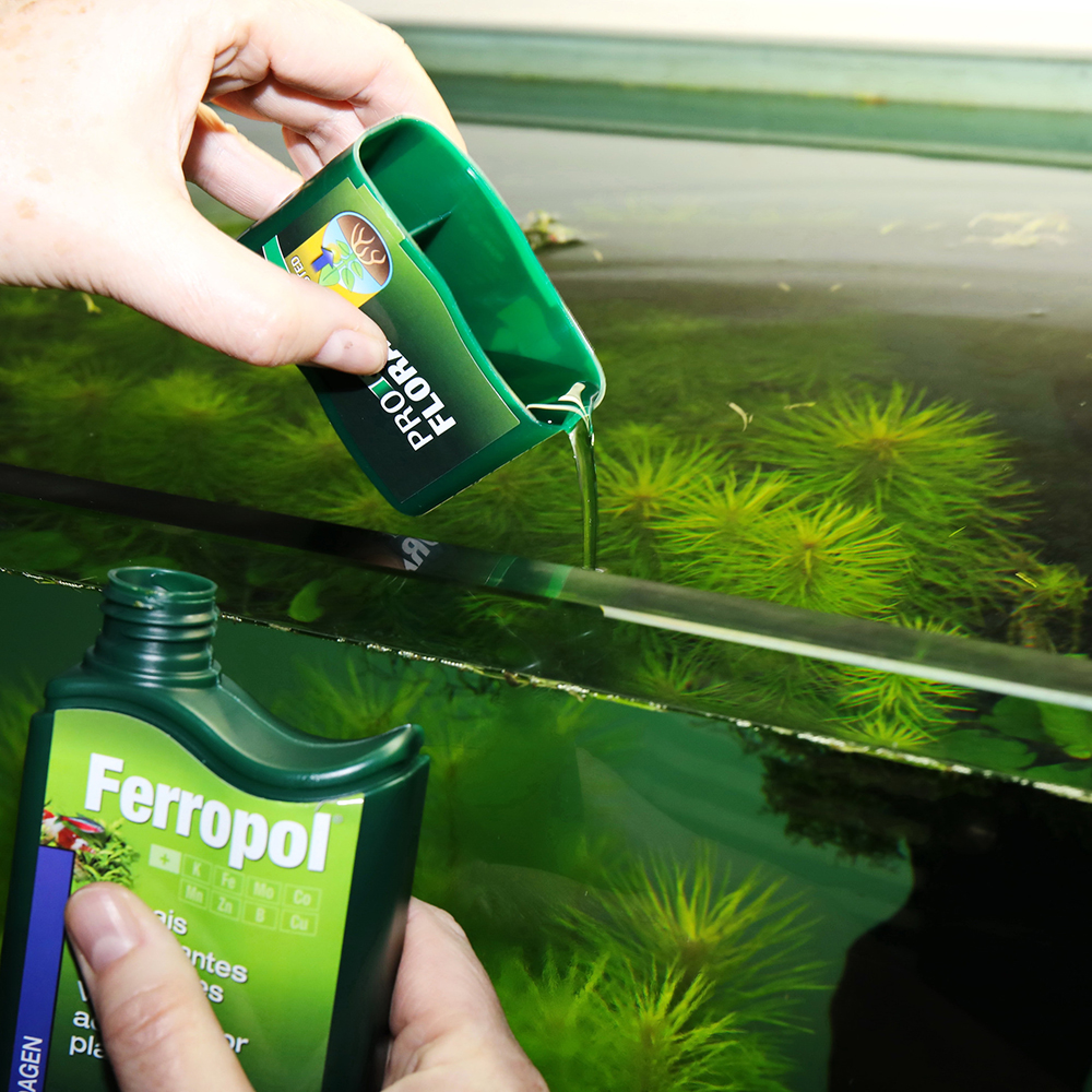 Jbl Pro Flora Ferropol Fertilizzante Base completo 100ml per 400 litri