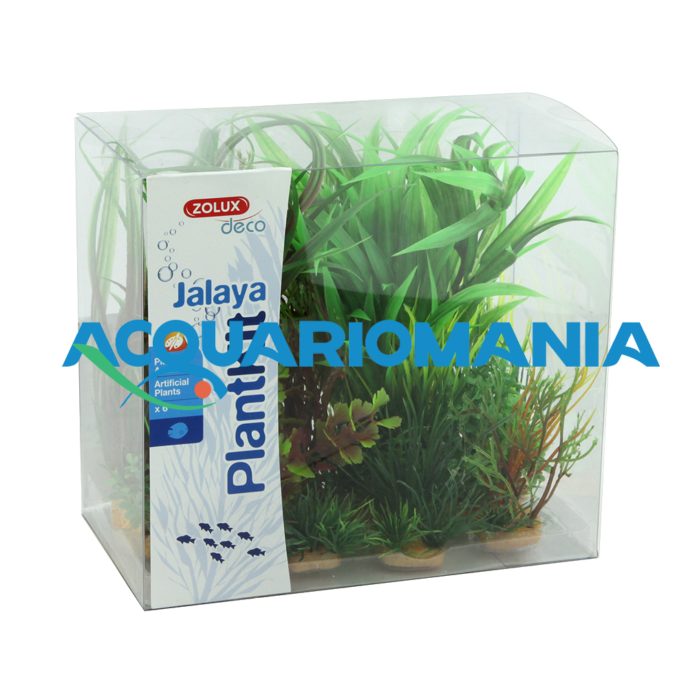 Zolux PlantKit Jalaya 3 Assortimento 6 piantine in plastica