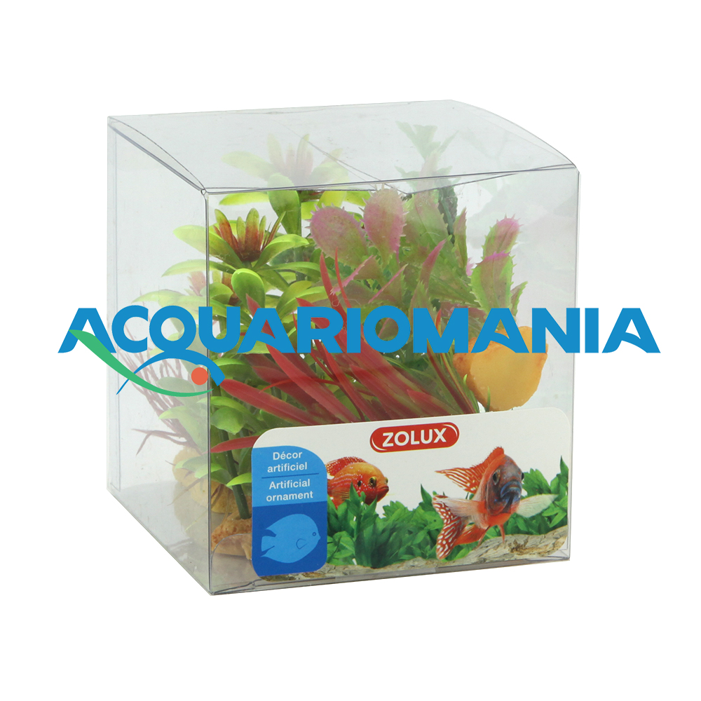 Zolux PlantKit Idro 3 Assortimento 7 piantine in plastica (copia)