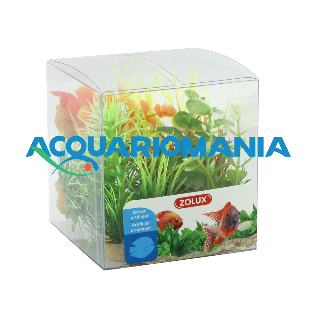 Zolux PlantKit Mix 6 Modello 3 Assortimento piantine in plastica