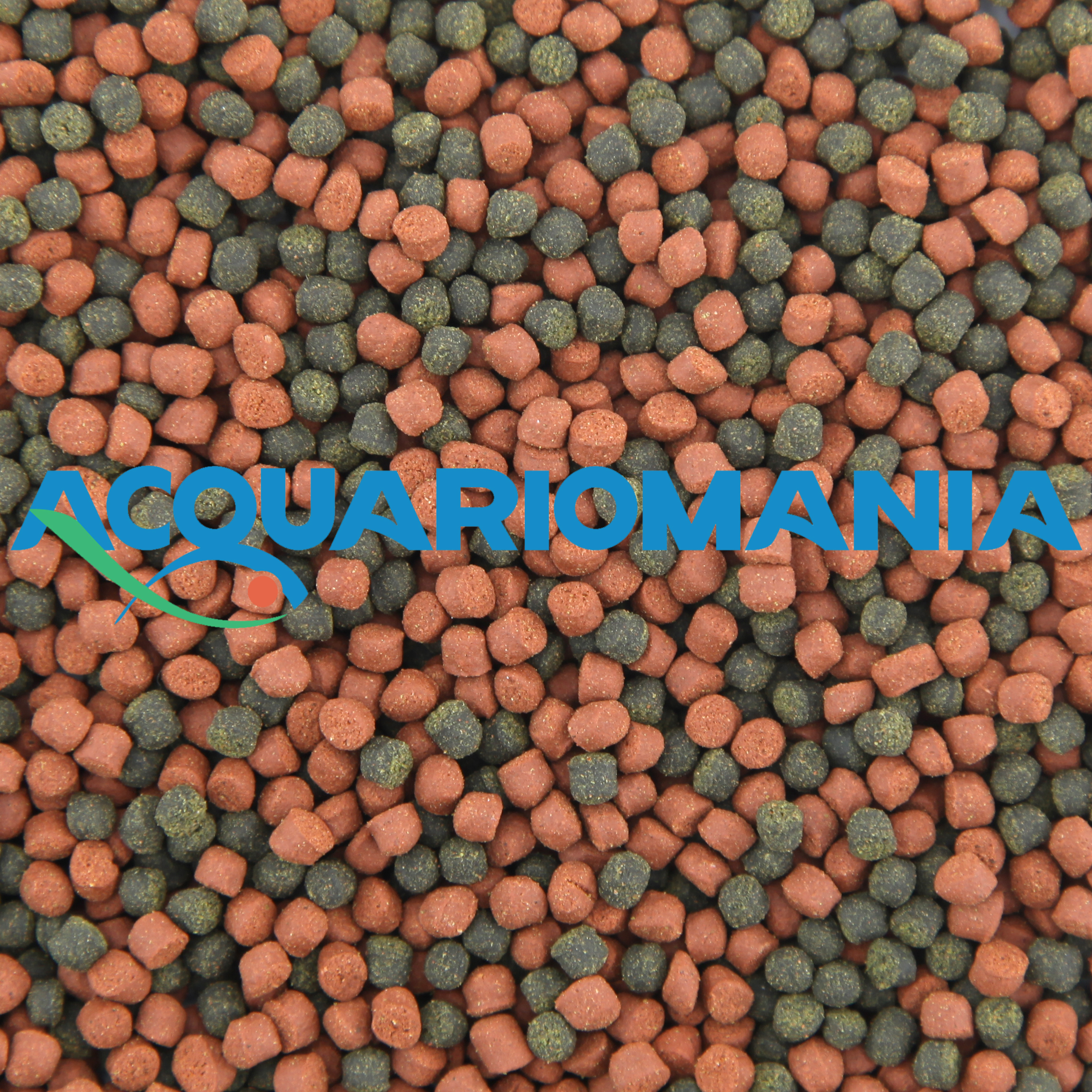 Shg Premium Marino Large 500gr