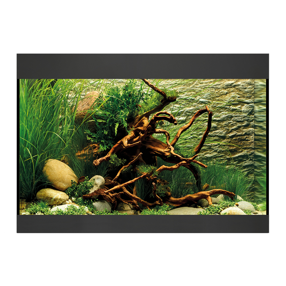 Oase Acquario StyleLine 125 con Supporto Nero 70x36x50 115 litri