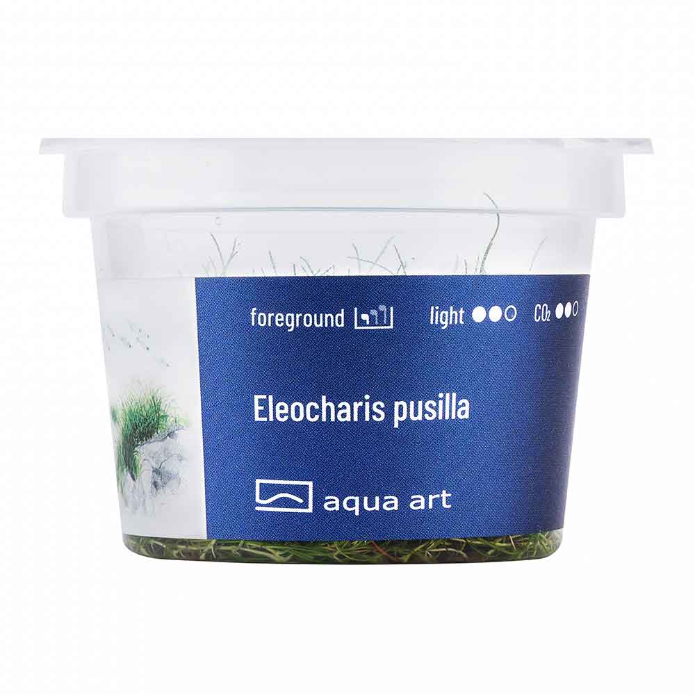 Aqua Art Eleocharis pusilla in Vitro Cup