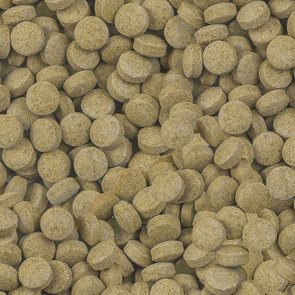 Sera Viformo Nature Mangime per pesci da fondo 250ml 160g