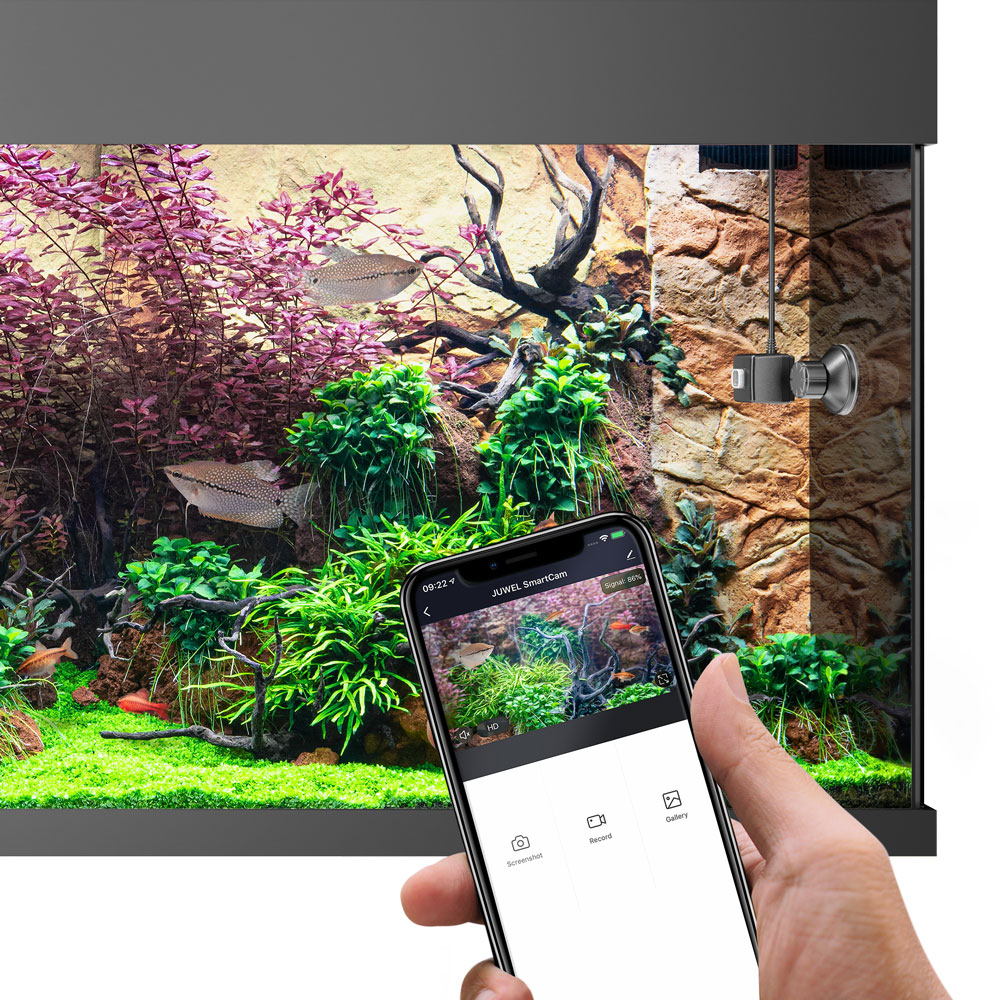 Juwel Smart Cam Videocamera Subacquea per acquario