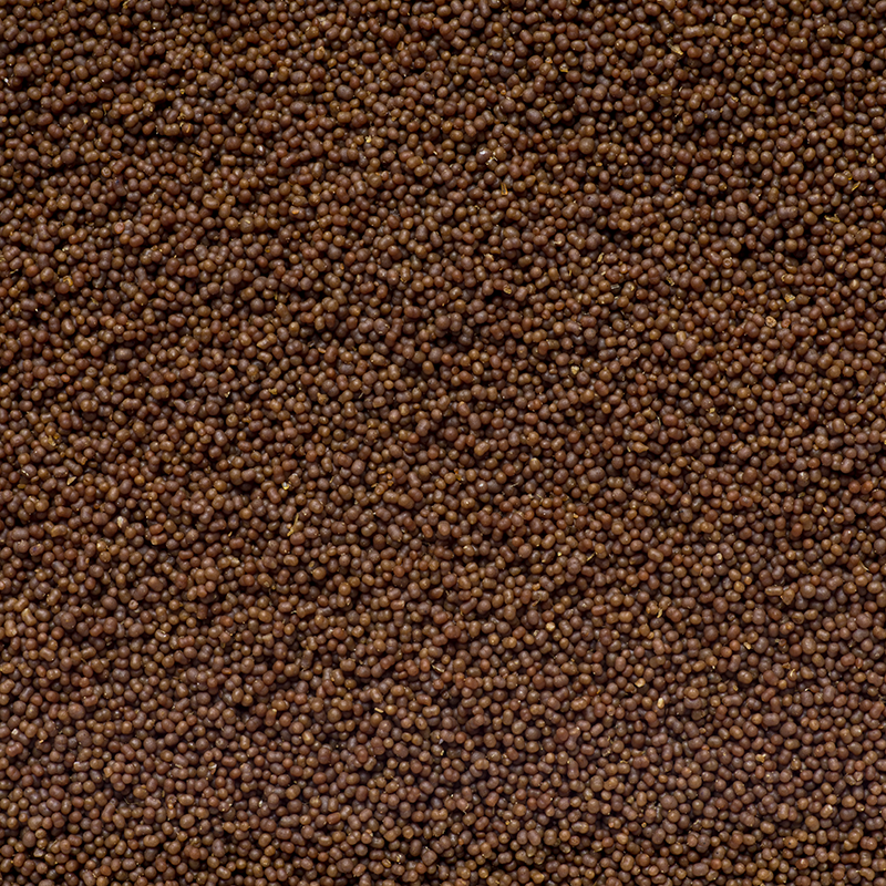 Aquaforest Marine Mix M Alimento granulare affondante 2mm per pesci marini 120g