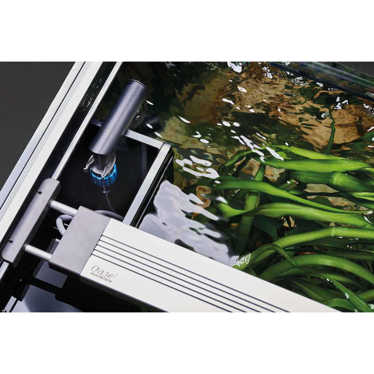 Oase HighLine Room Divider Acquario con Supporto Antracite 302 litri