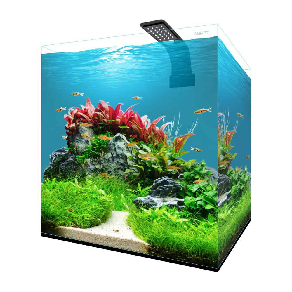 Aqpet Kubic Box 30 Acquario Completo Acqua Dolce 27 litri 30x30x30h