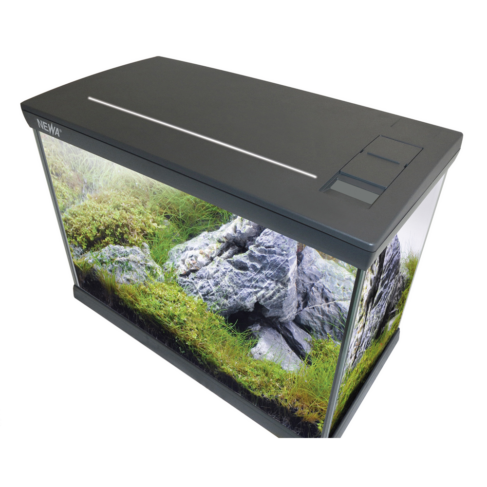 Newa Mirabello 30 Young Led MF Acquario 30 litri Bianco New 2021