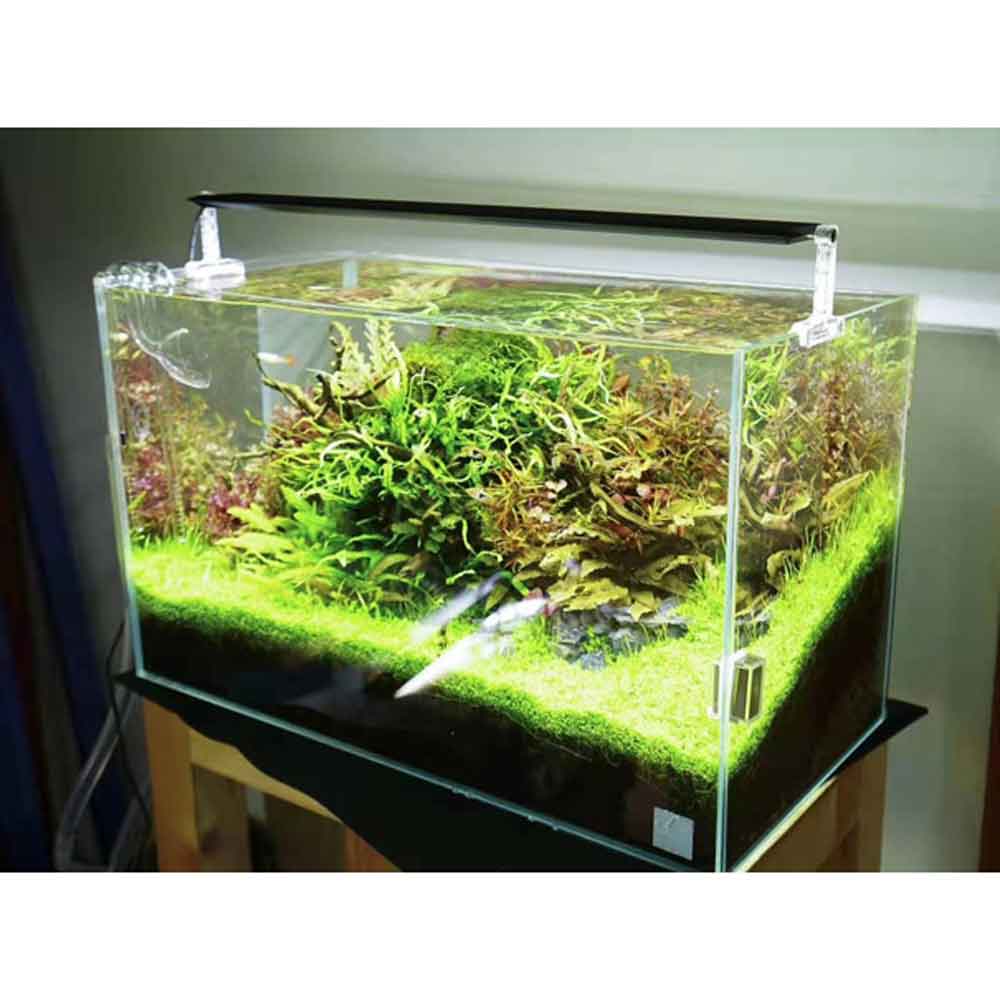 Chihiros Lampada a Led AII1201 53W 120cm