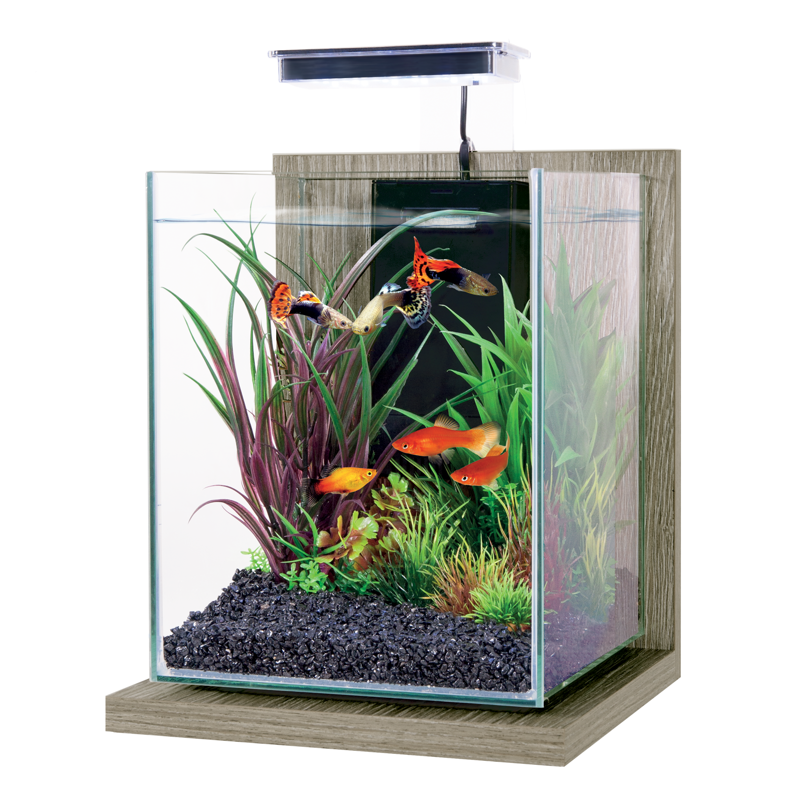 Zolux Jalaya 2 Acquario Zebrano grigio 10 litri