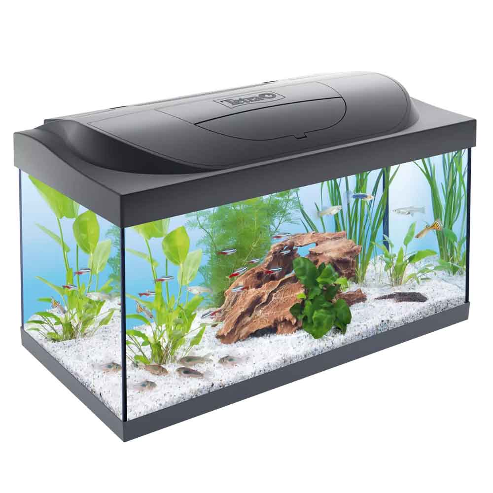 Tetra Acquario Starter Line Led 10W Completo 61x31x35cm 54litri