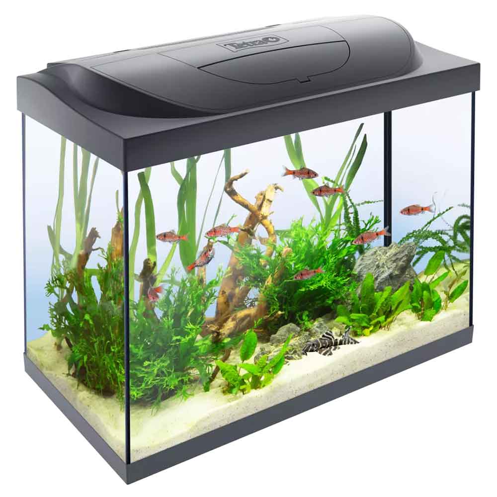 Tetra Acquario Starter Line Led 10W Completo 61x32x51cm 80litri New 2022 Con Luce Notturna