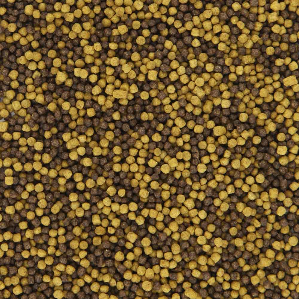 Blue Line Lake Dual galleggiante 2mm 500g