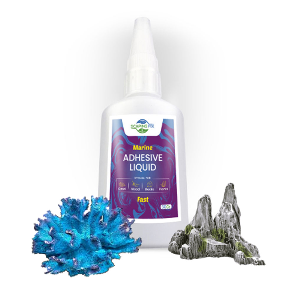 Scaping Fix Adhesive Liquid Fast Colla per marino 50gr