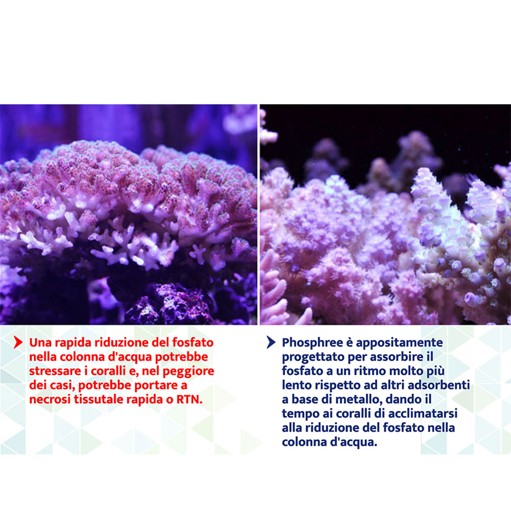 Maxspect Nano Tech Phosphree Antifosfati 500ml