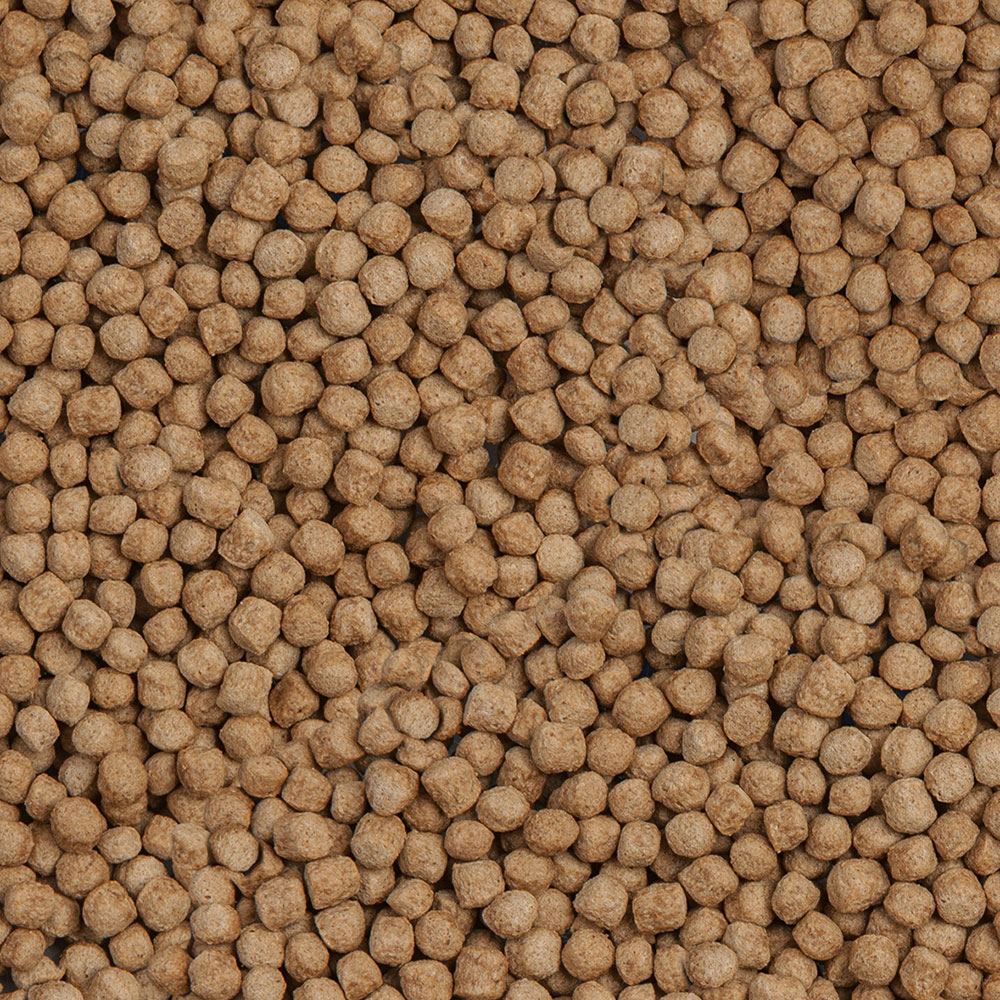 Sera Koi Royal Nature Medium 3,8l 800gr