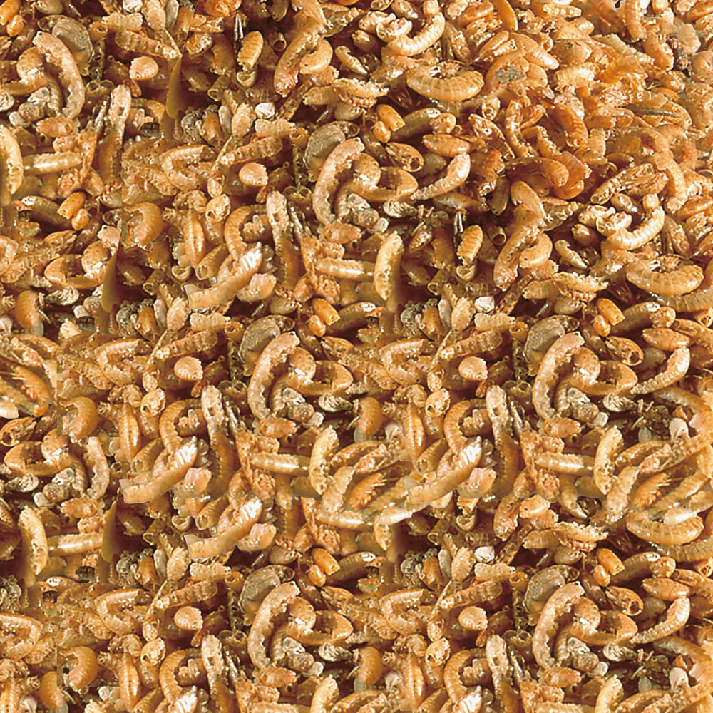 Sera Raffy I Leccornie con Gammarus per Tartarughe e Sauri 1000 ml 130 g