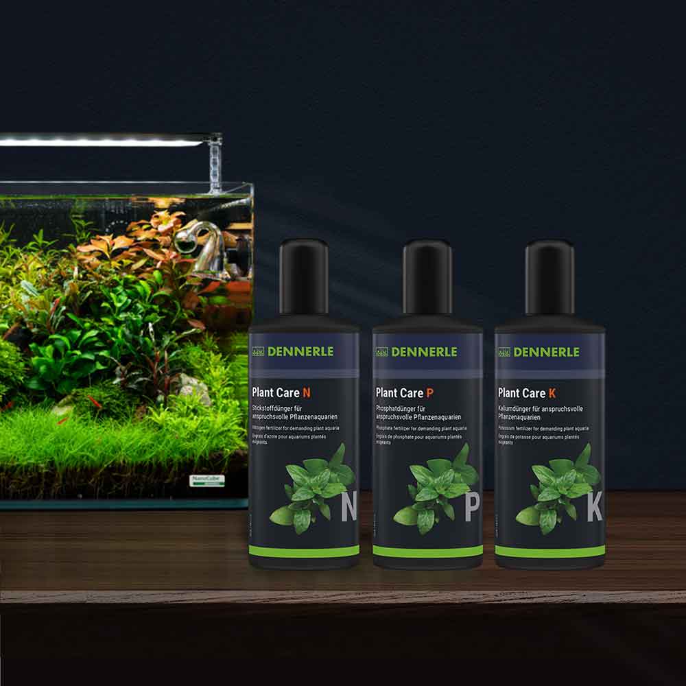 Dennerle Plant Care N (Azoto NO3) Fertilizzante avanzato 250ml