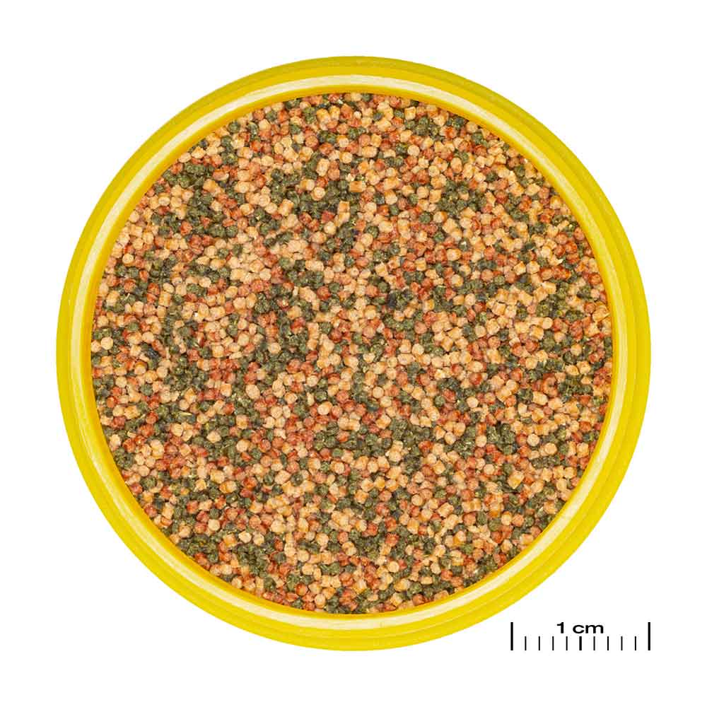 Jbl Pronovo Bel Grano S Granulare con Aglio e Prebiotici 20ml 18gr