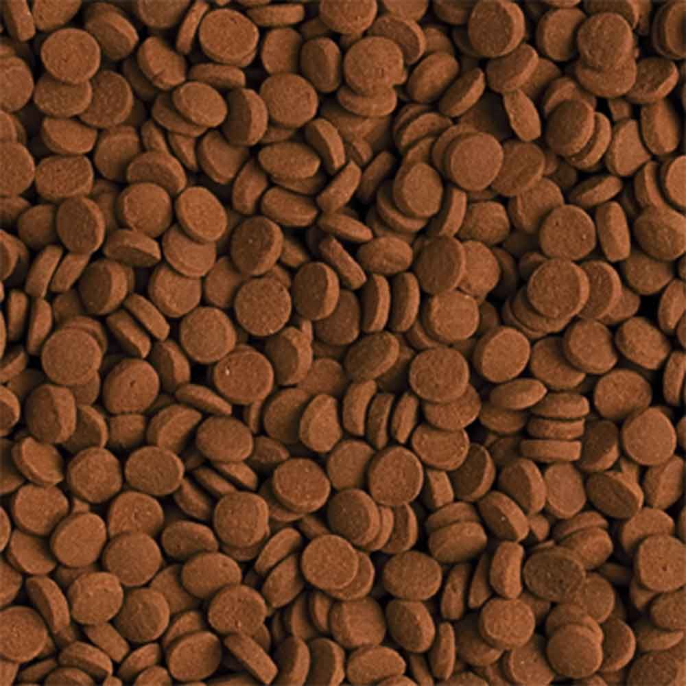 Tropical Carnivore pastiglie affondanti 500ml 300gr
