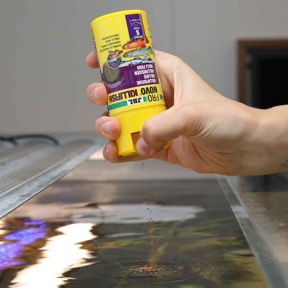 Jbl ProNovo Killifish Grano S Granulare con Insetti e Prebiotici 100ml 48gr