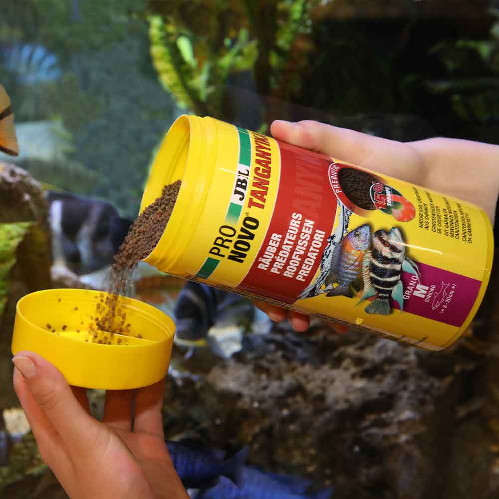 Jbl ProNovo Tanganyka Grano M Granulare con Shrimps e Prebiotici 250ml 145gr