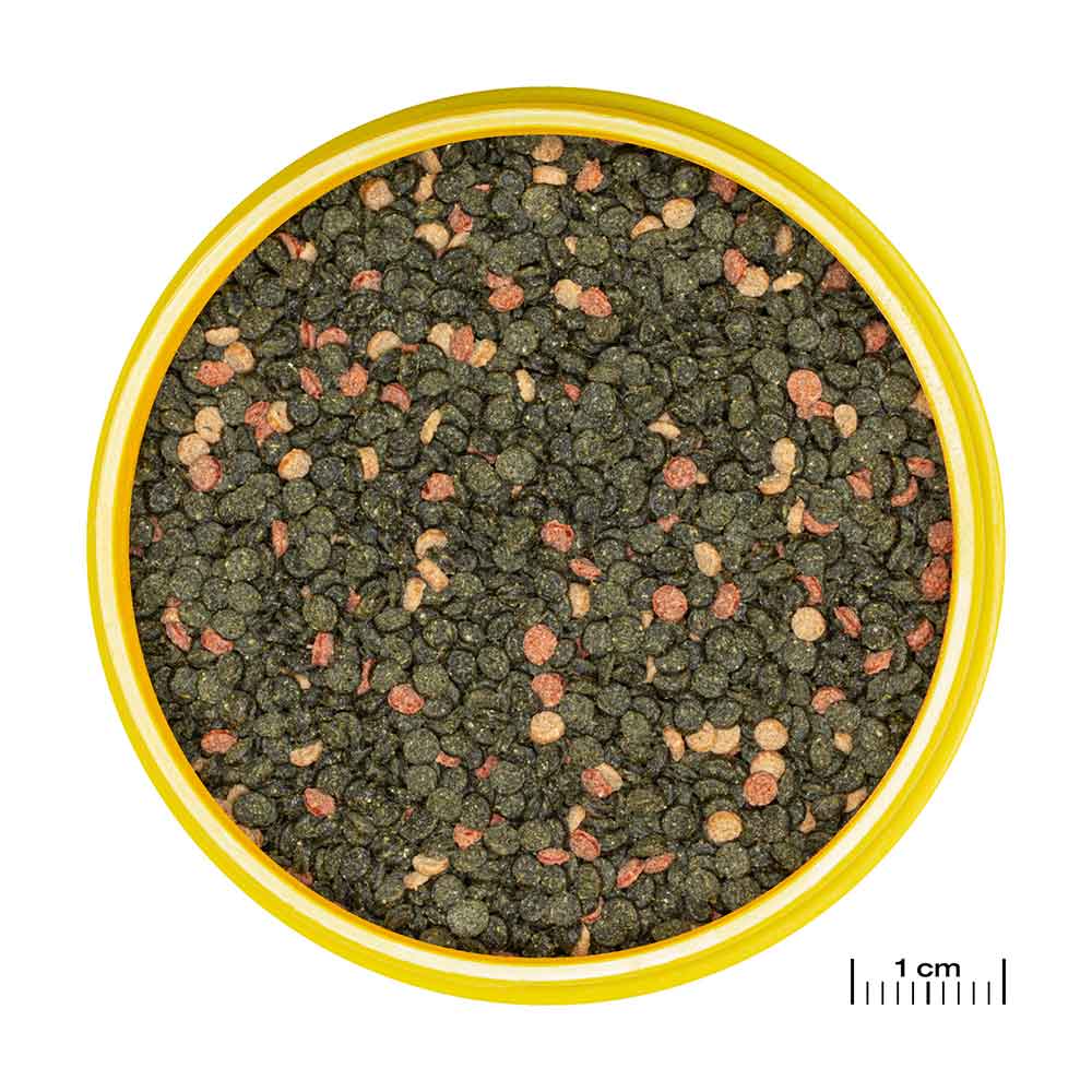 Jbl ProNovo Malawi Grano M Granulare con Spirulina e Prebiotici 250ml 125gr