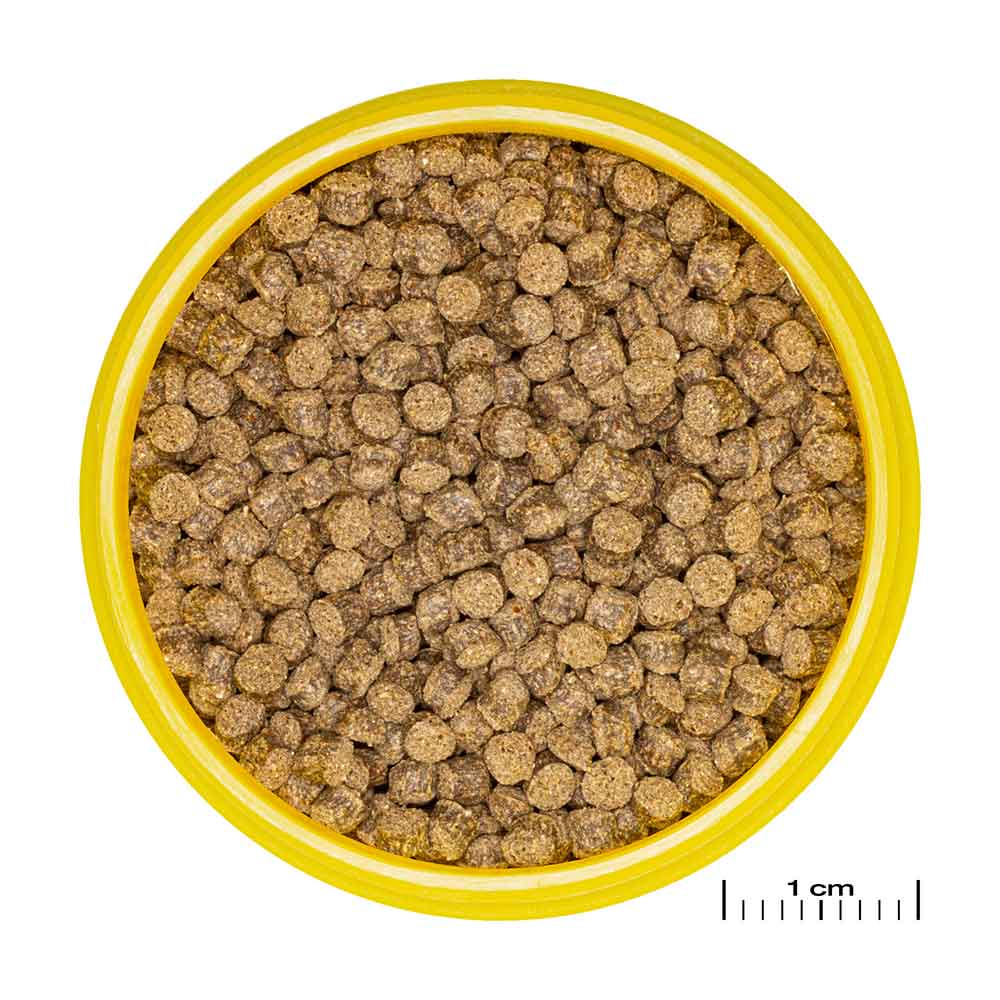 Jbl ProNovo Fantail Grano M Granulare con Shrimps e Prebiotici 100ml 58gr