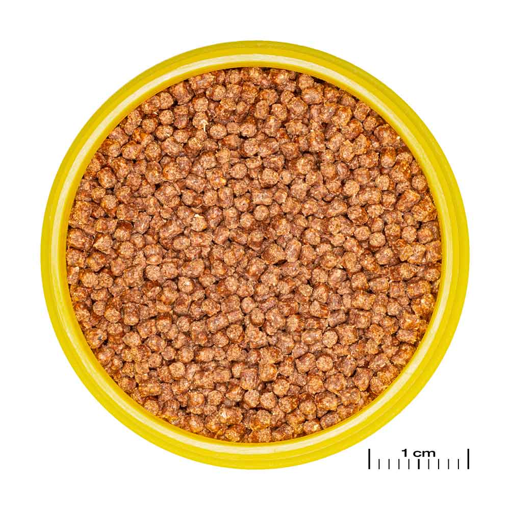 Jbl ProNovo Fantail Grano S Granulare con Shrimps e Prebiotici 100ml 56gr