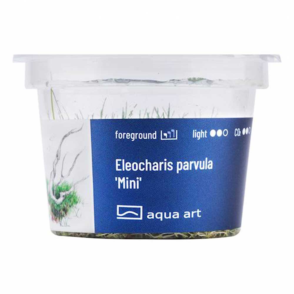 Aqua Art Eleocharis parvula &quot;Mini&quot; in Vitro Cup