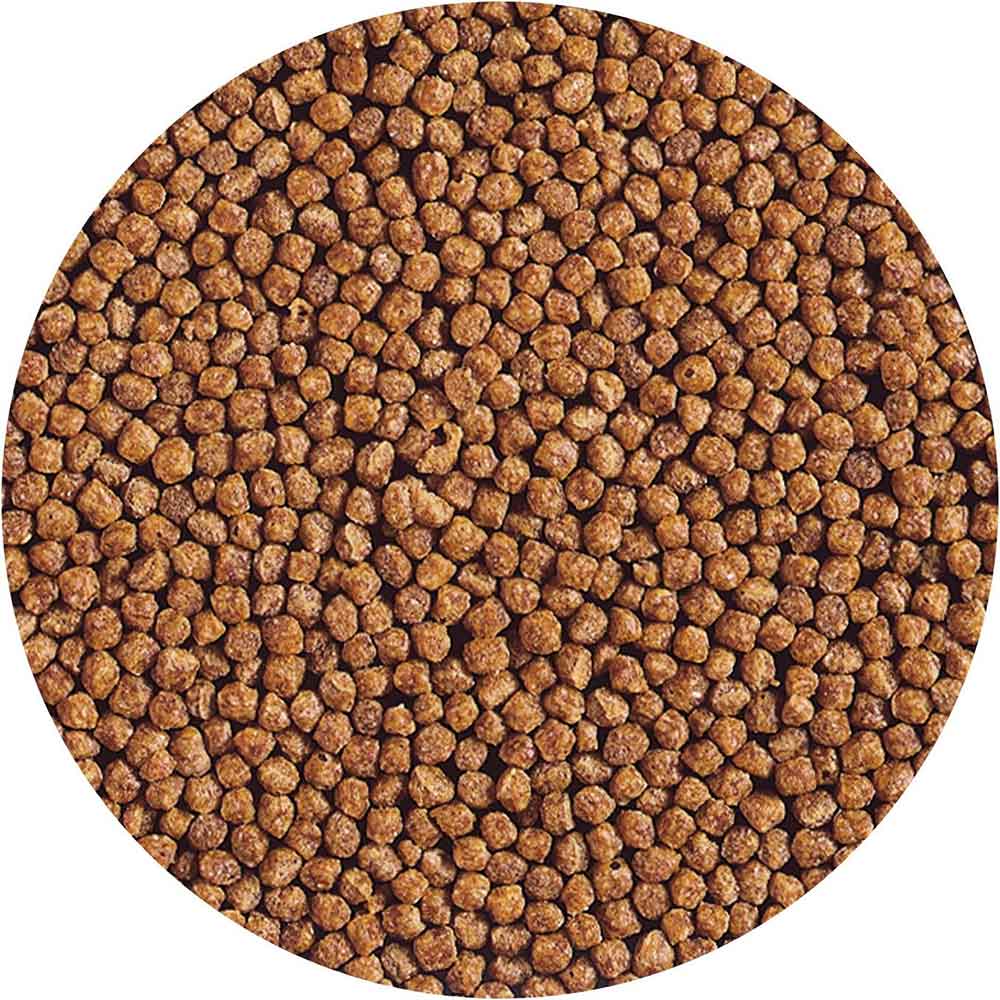 Hikari Goldfish Gold Baby Pellet 300g