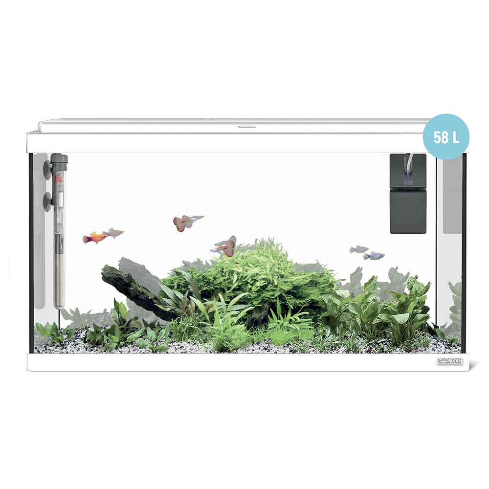 Sicce Acquario Moby Dick 60 New Bianco 58 Litri 60x30x34 cm
