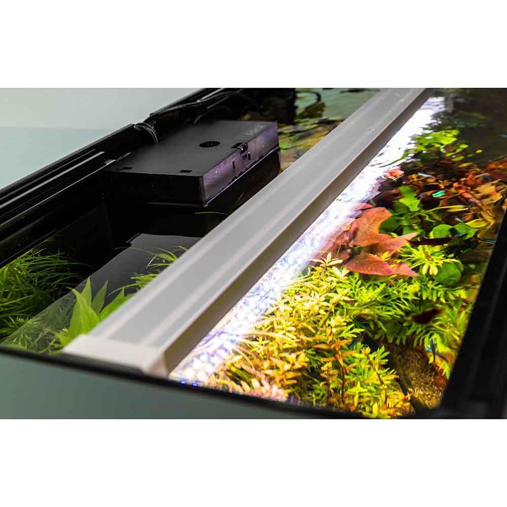 Askoll Opera 110 Acquario completo 110 litri White 60x40x50h cm