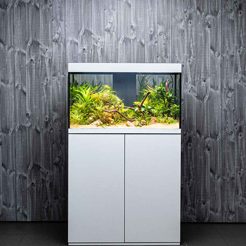 Askoll Opera 110 Acquario completo 110 litri Nero 60x40x50h cm