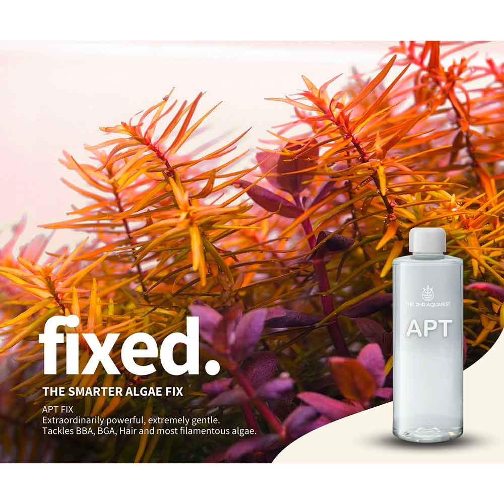 The 2Hr Aquarist APT Fix Antialghe BBA Filamentose e pennello 300ml