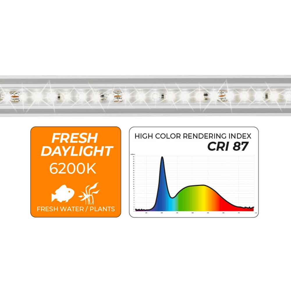 Newa Led Slim Daylight 228 Lampada estensibile per acquari da 246-310mm 6200K° 3.1W