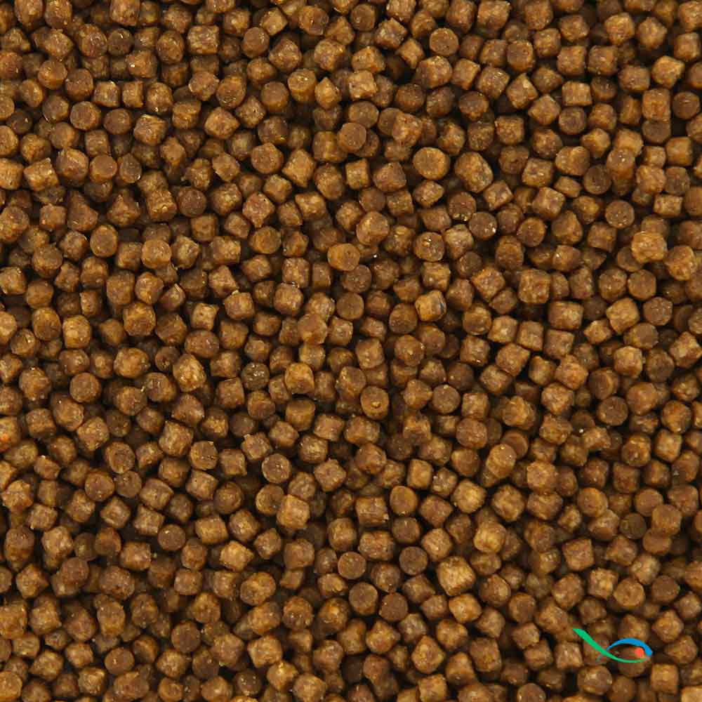 Prodac Goldfish Pellet Sinking affondante per pesci rossi 100ml 60gr