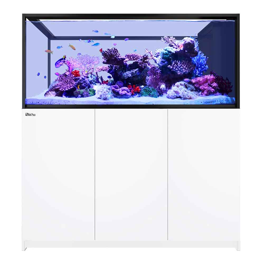 Red Sea REEFER™ Peninsula S-700 G2+ Bianco Acquario marino 568lt 151cm