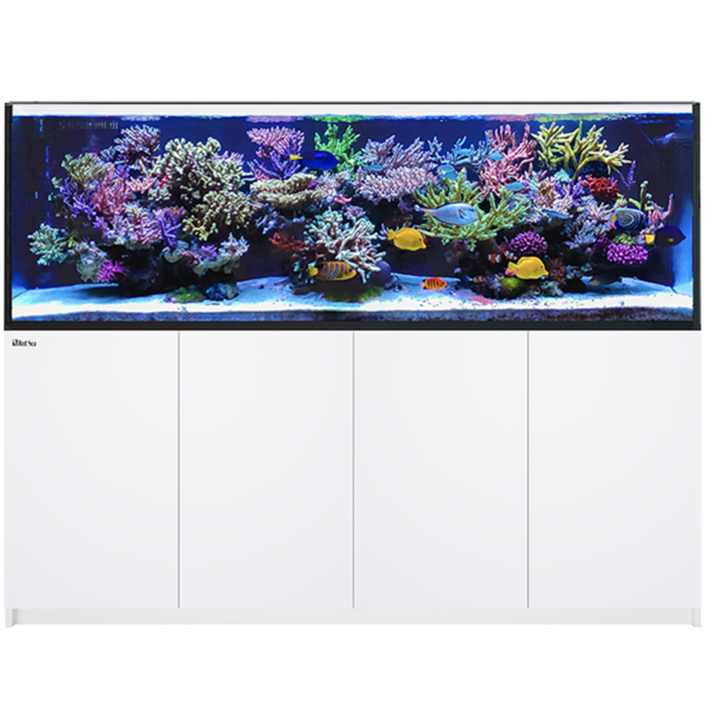 Red Sea REEFER™ Peninsula S-950 G2+ Bianco Acquario marino 720lt 200cm
